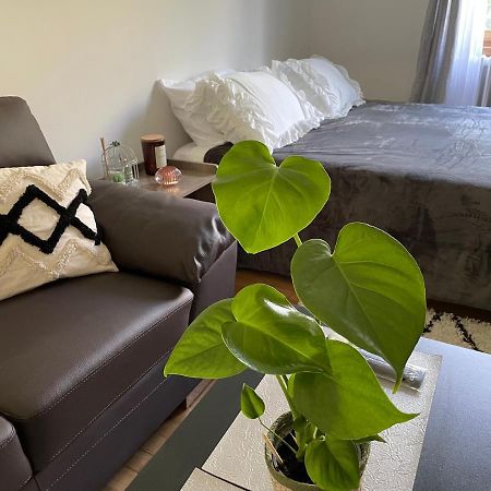 Chambre Privee Vue Sur Le Jardin Proche Centre Ville Besançon Dış mekan fotoğraf