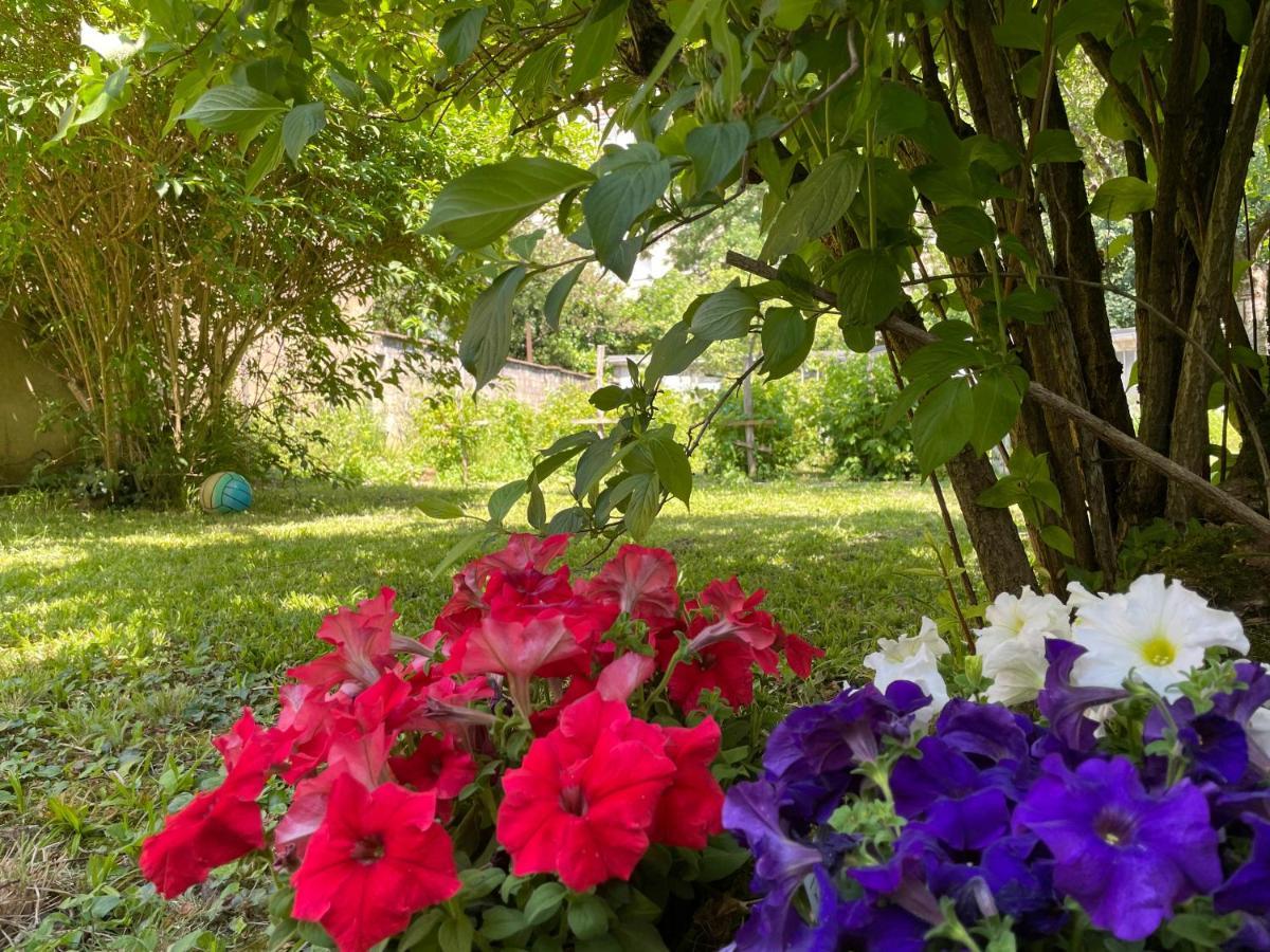Chambre Privee Vue Sur Le Jardin Proche Centre Ville Besançon Dış mekan fotoğraf